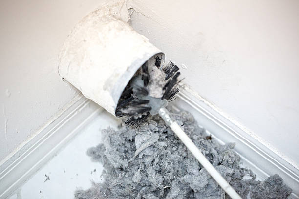 Best Professional Duct Cleaning Services  in Edgemoor, DE